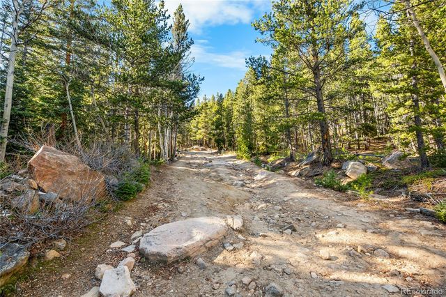 a view of a forest with trees