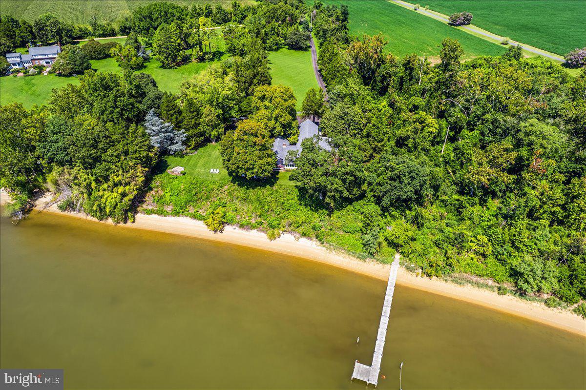 6110 Sheridan Point Road Prince Frederick, MD 20678 - Photo 14 of 77 Serene waterfront retreat with lush greenery.