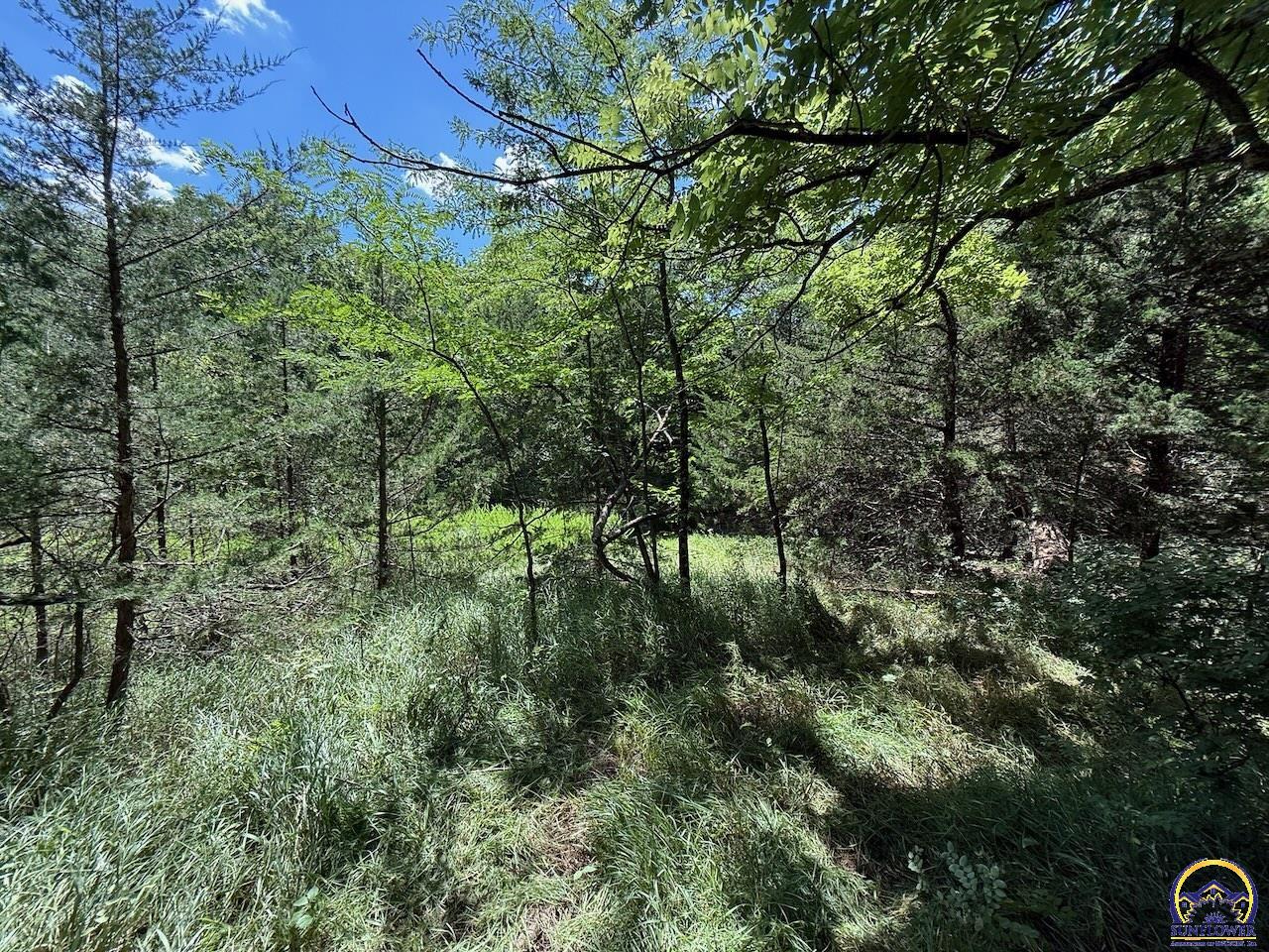 0 214th Road Holton, KS 66436 - Photo 68 of 75