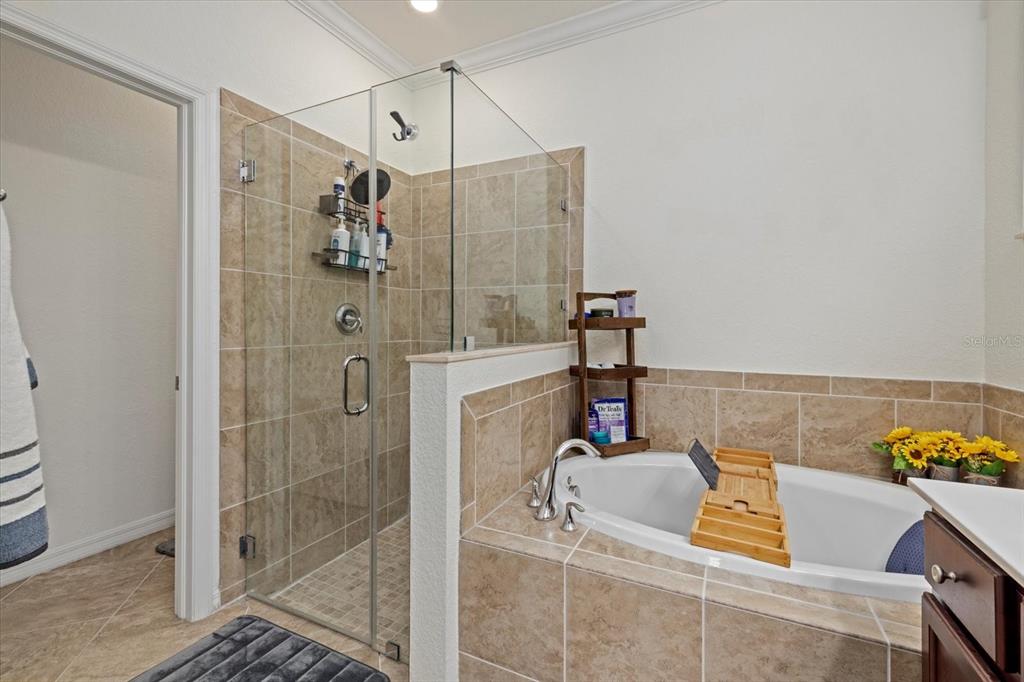 17018 Blue Rdg Place Bradenton, FL 34211 - Photo 20 of 34 a bathroom with a shower