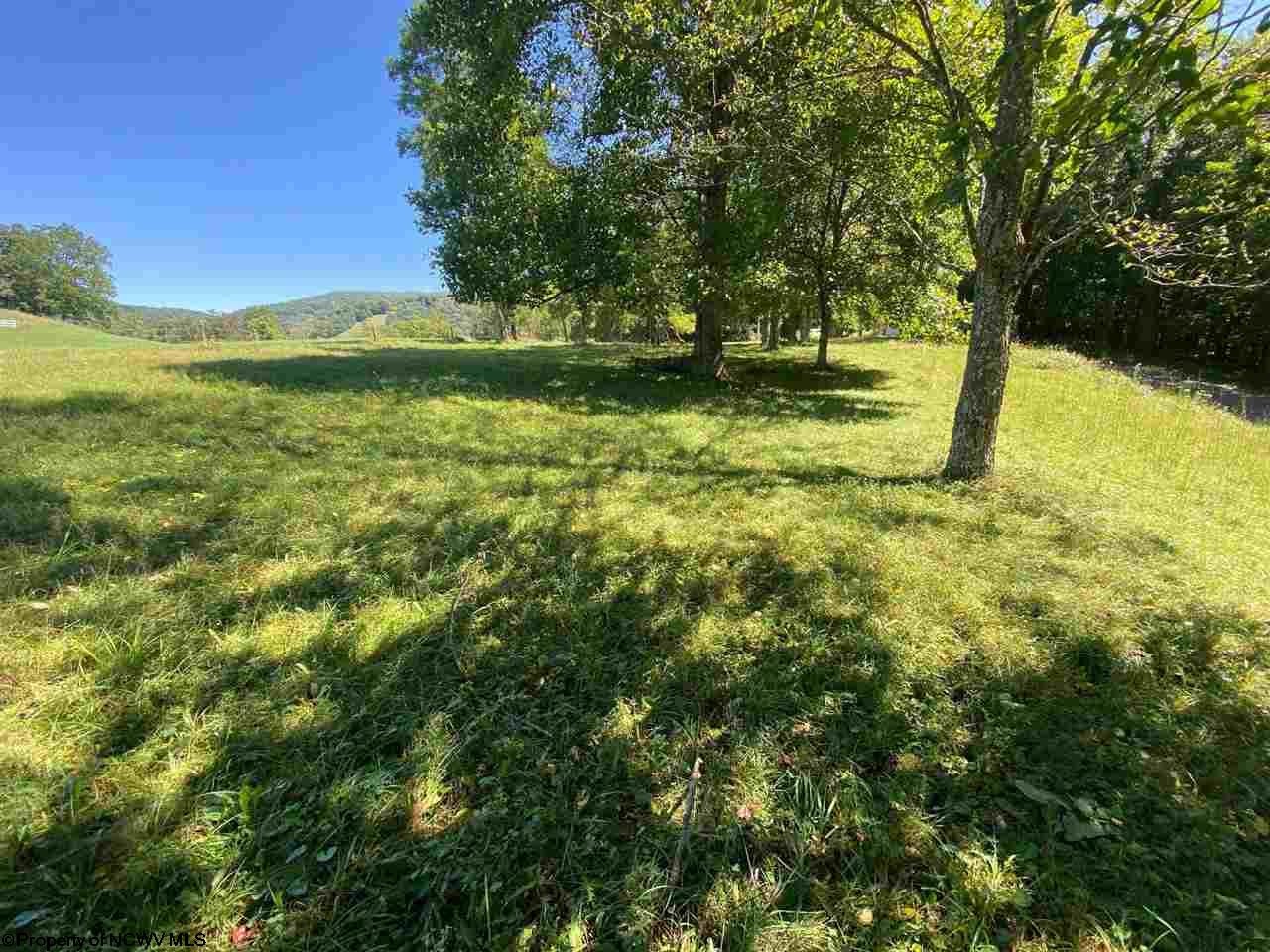 549 Co Rte 45/2 Red Creek, WV 26289 - Photo 19 of 21 Gallery Image 19