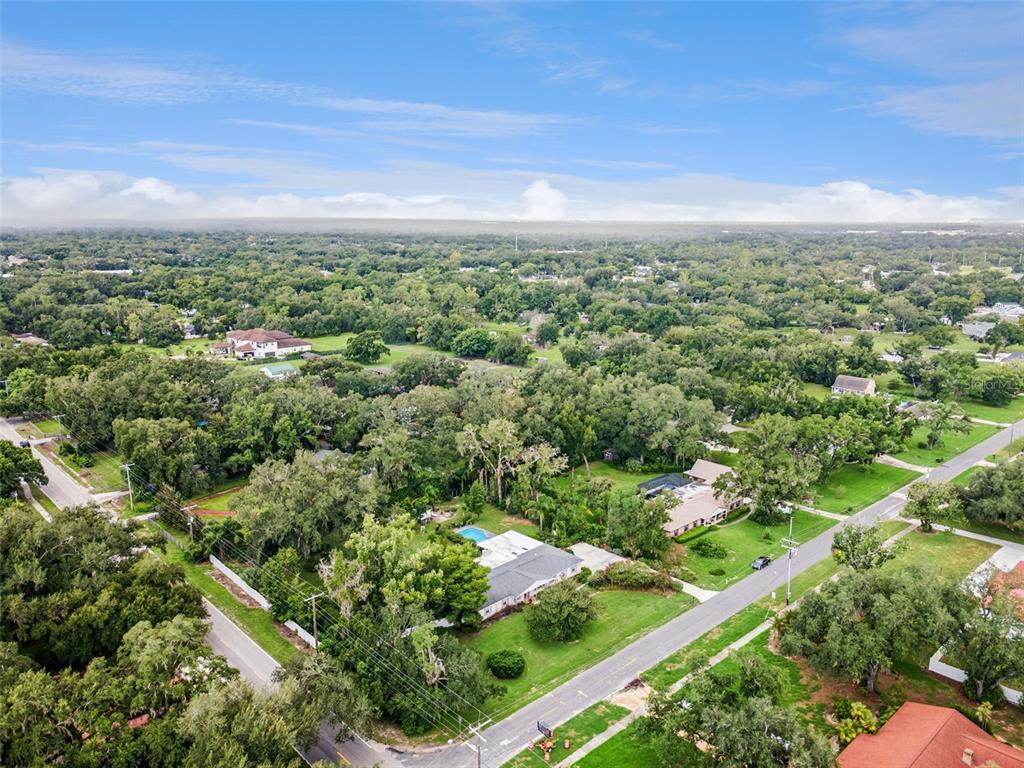 101 Ronele Drive Brandon, FL 33511 - Photo 60 of 62 Gallery Image 60