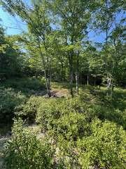 377 Old Stage Road Bath, ME 04530 - Photo 2 of 3 -7051669309220460020