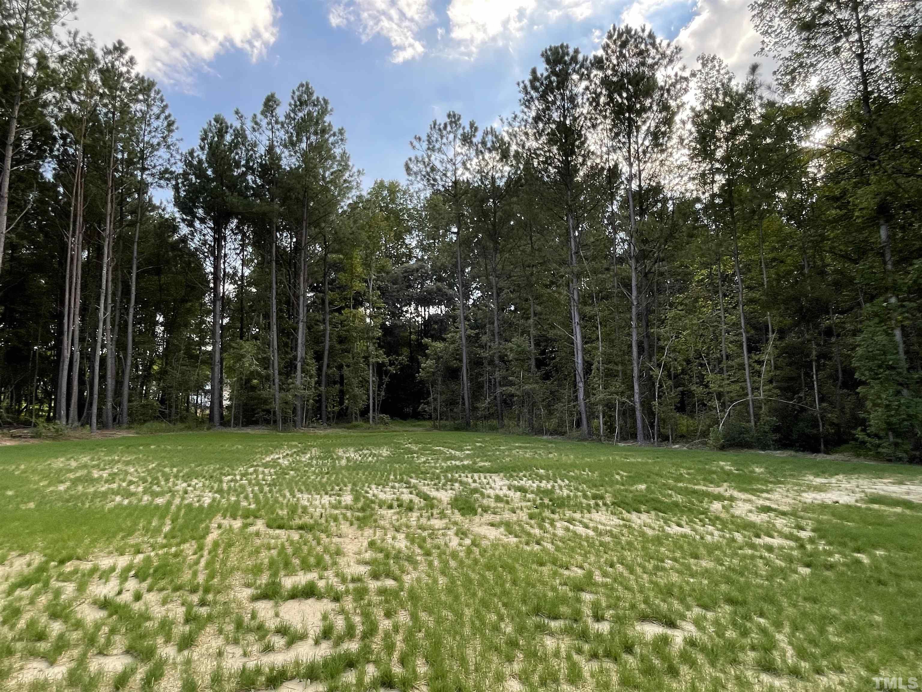 452 Roberts Road Willow Spring, NC 27592 - Photo 12 of 13
