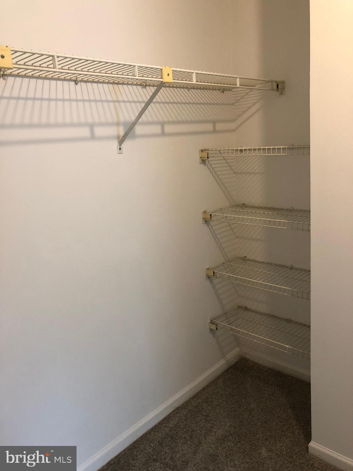 11228 Legato Way Silver Spring, MD 20901 - Photo 23 of 31 WALK IN CLOSET WITH SHELVES