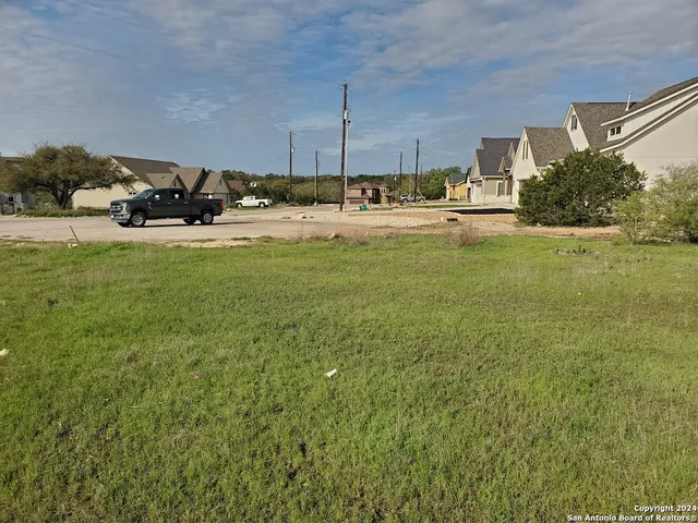 a view of a big yard with large trees