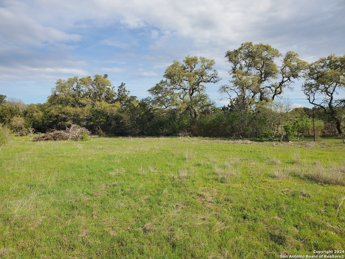 112 West Alex Jordan Blanco, TX 78606 - Photo 17 of 33 a view of a garden