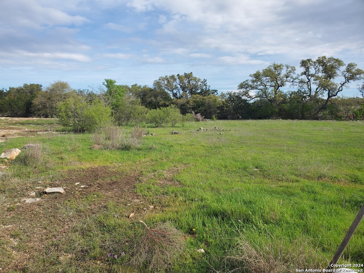 112 West Alex Jordan Blanco, TX 78606 - Photo 19 of 33 a view of a field with an trees