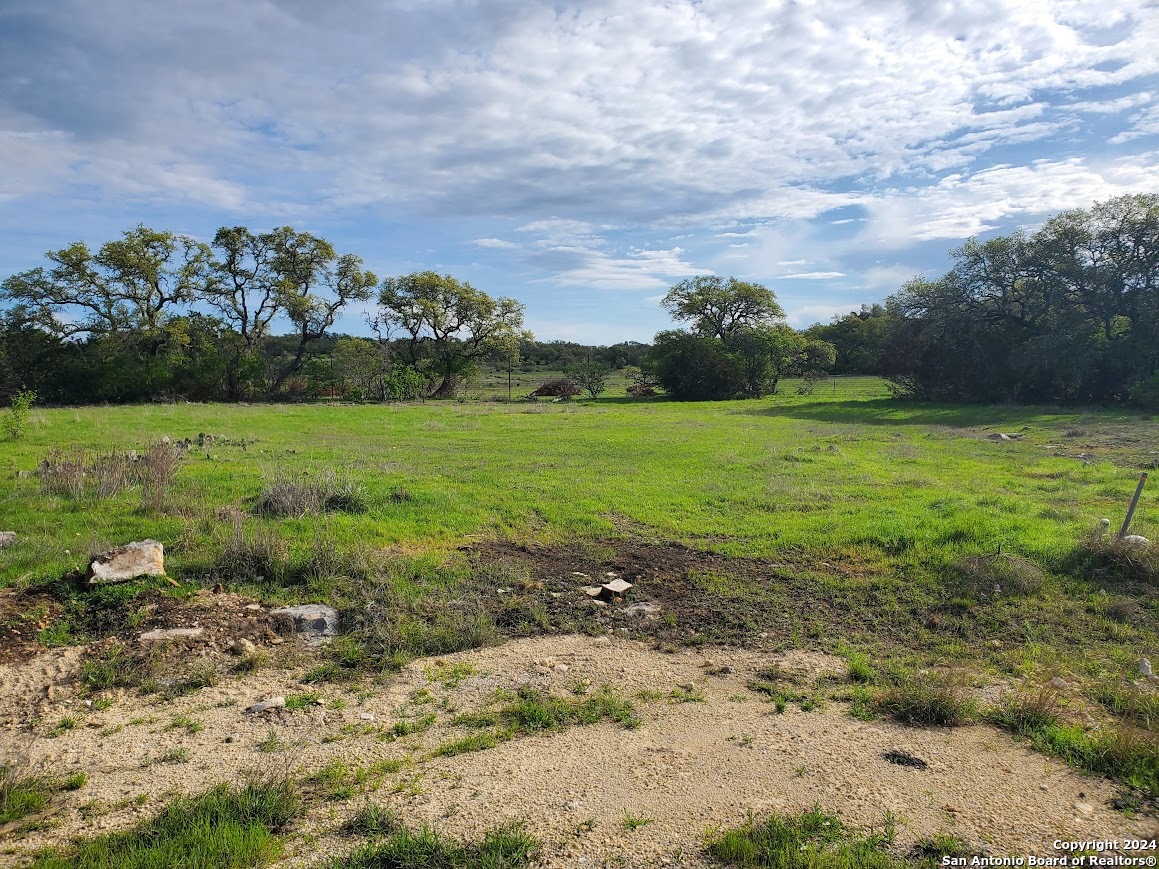 112 West Alex Jordan Blanco, TX 78606 - Photo 2 of 33