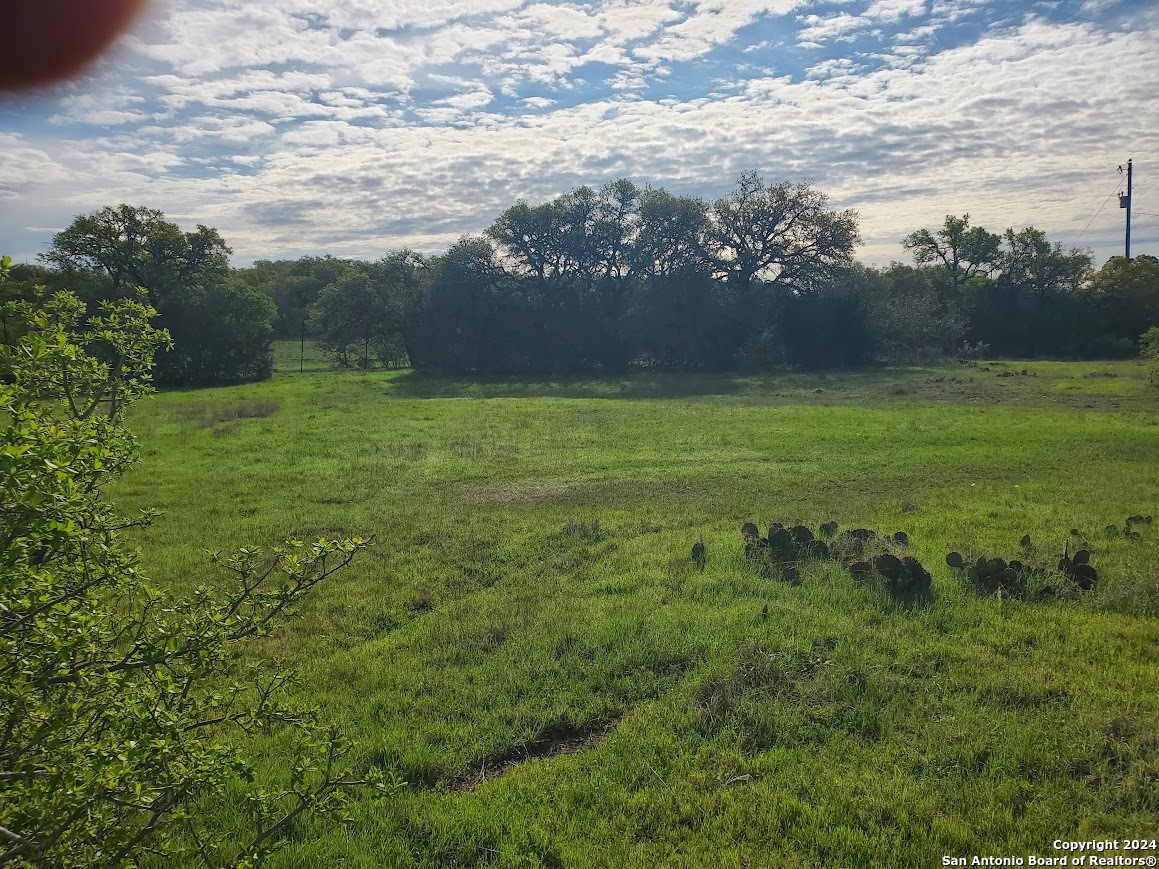 112 West Alex Jordan Blanco, TX 78606 - Photo 6 of 33 a view of outdoor space and yard