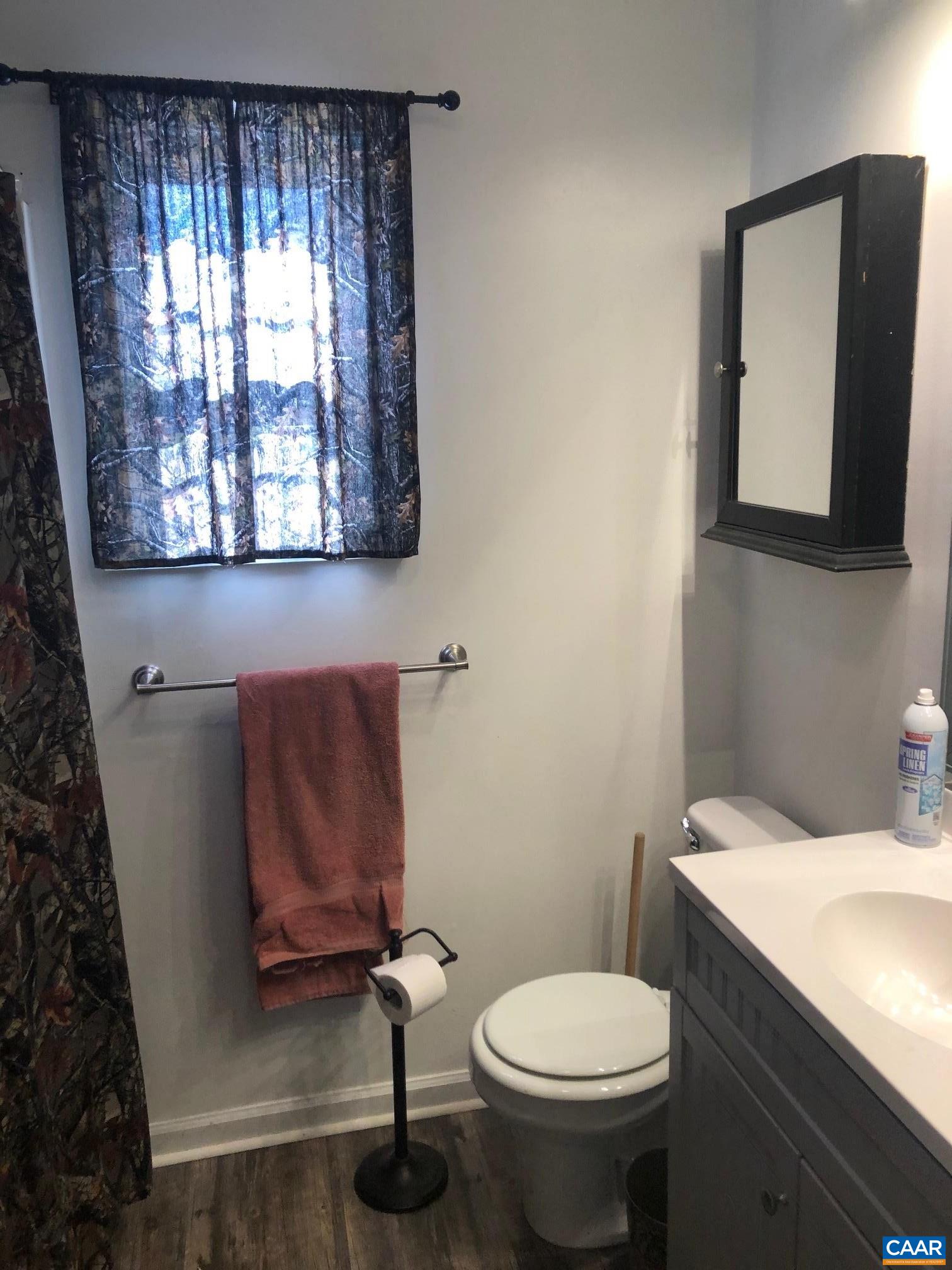 6473 Plank Road Afton, VA 22920 - Photo 16 of 66 a bathroom with a toilet sink and mirror