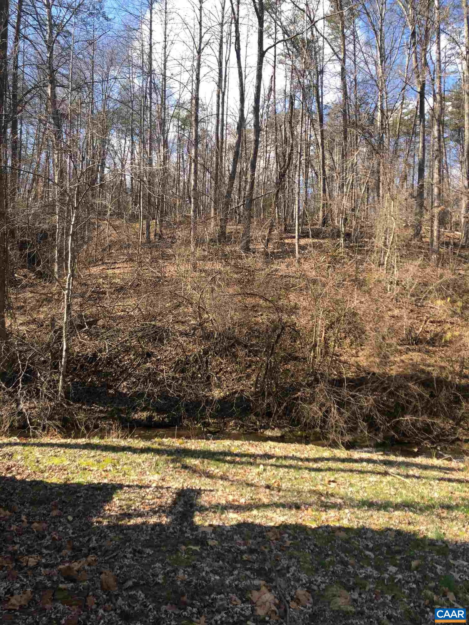 6473 Plank Road Afton, VA 22920 - Photo 17 of 66