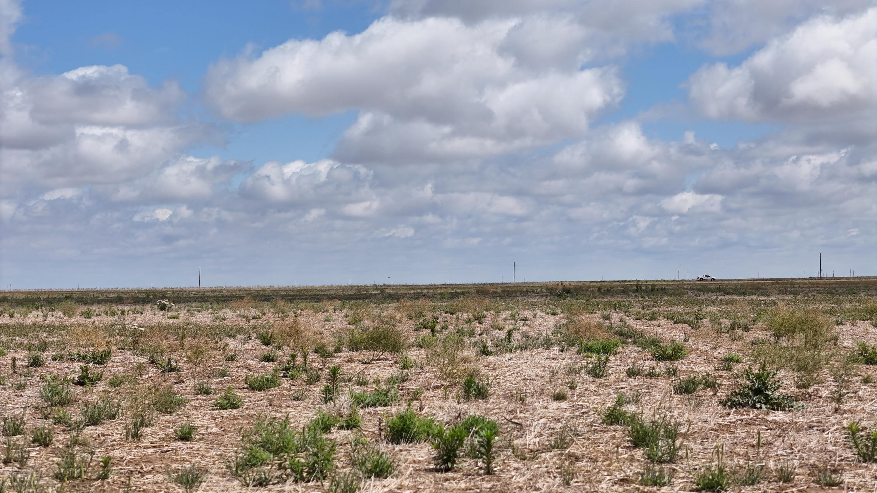 2301 Farm To Market Road Tulia, TX 79088 - Photo 6 of 11