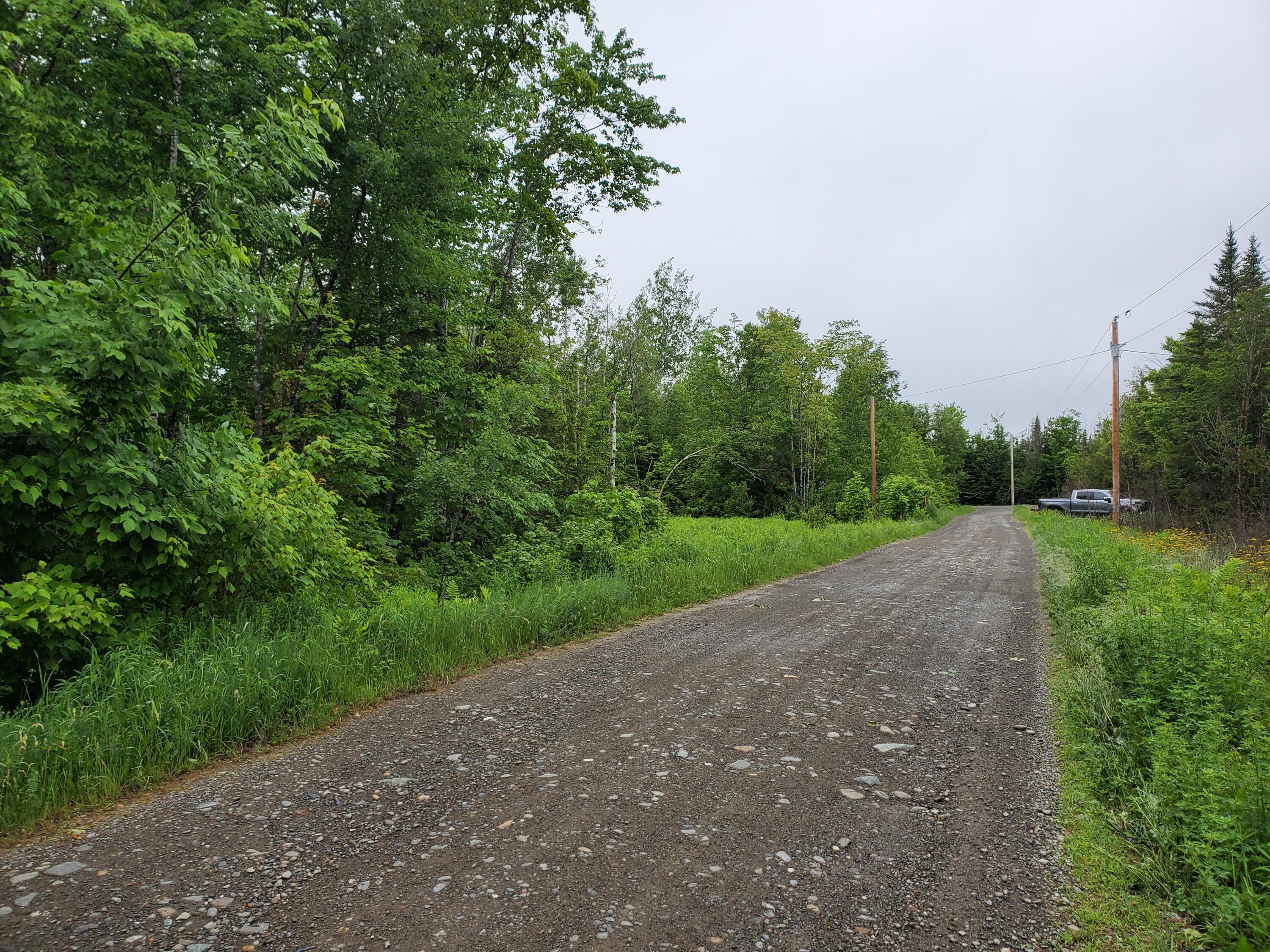 Lot 1 Estabrook Road Amity, ME 04471 - Photo 3 of 3 20210615_113713