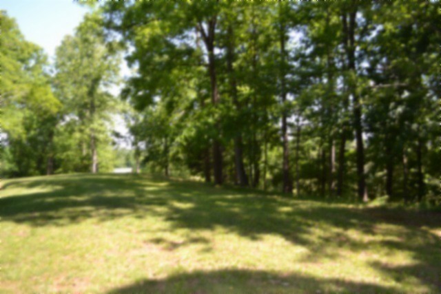 318 Rock Springs Road Celina, TN 38551 - Photo 76 of 87 a view of a golf course