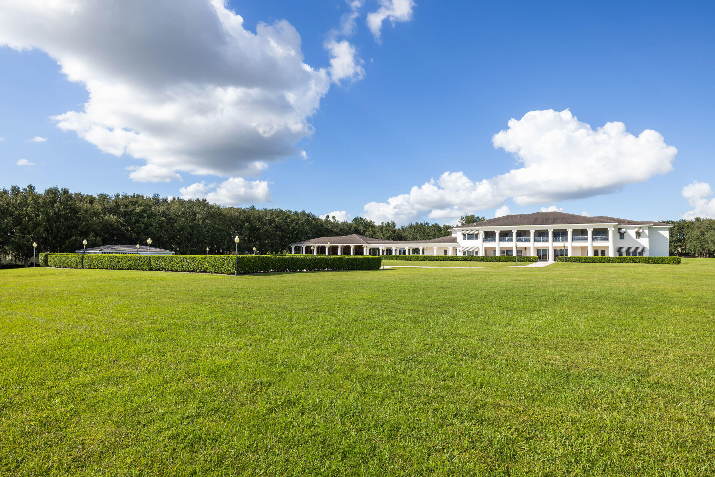 9508 Windy Ridge Road Windermere, FL 34786 - Photo 35 of 49 a view of a big yard with plants and large trees