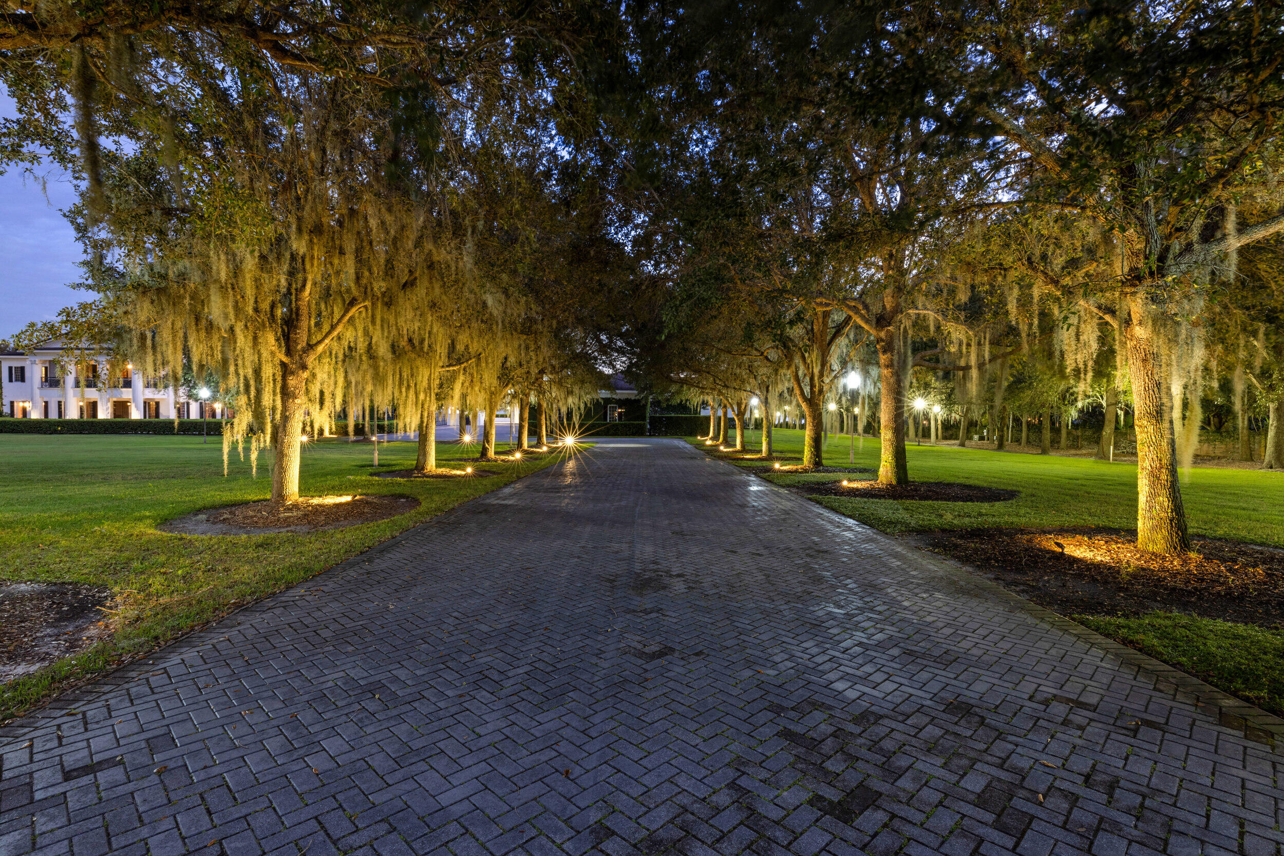 9508 Windy Ridge Road Windermere, FL 34786 - Photo 43 of 49 a view of outdoor space with green space
