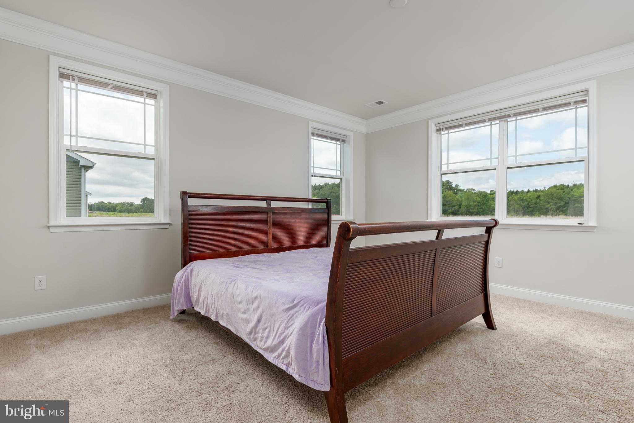 15344 Crape Myrtle Road Milton, DE 19968 - Photo 16 of 40 Gallery Image 16