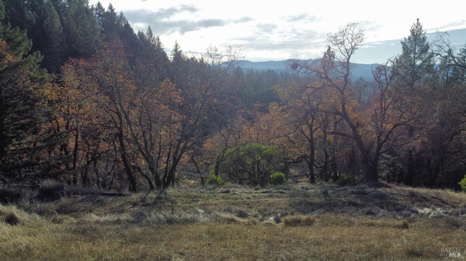 22721 Eastside Road Willits, CA 95490 - Photo 1 of 1 a view of a forest with trees in the background