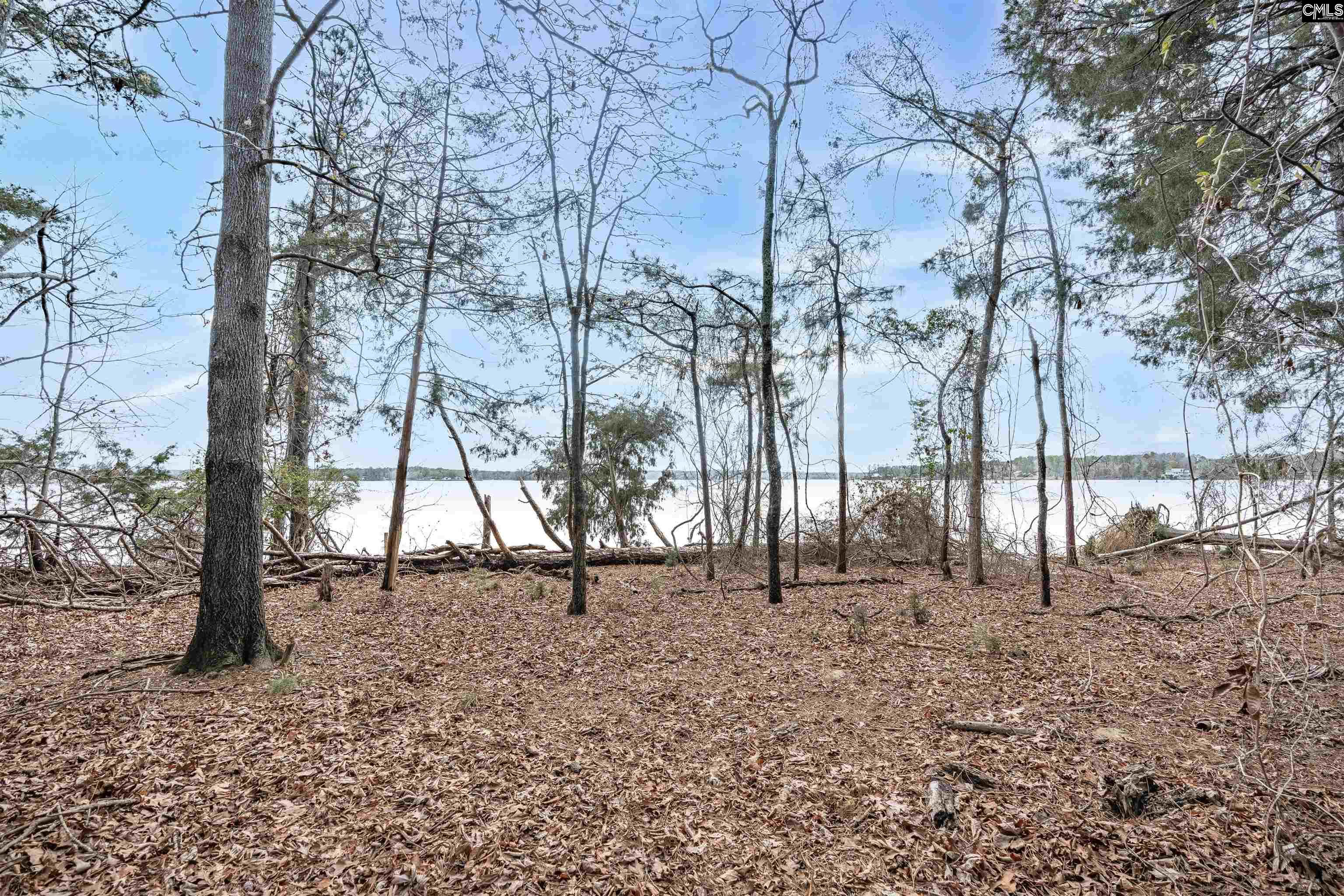 0 Circle H Woods Road Prosperity, SC 29127 - Photo 25 of 28