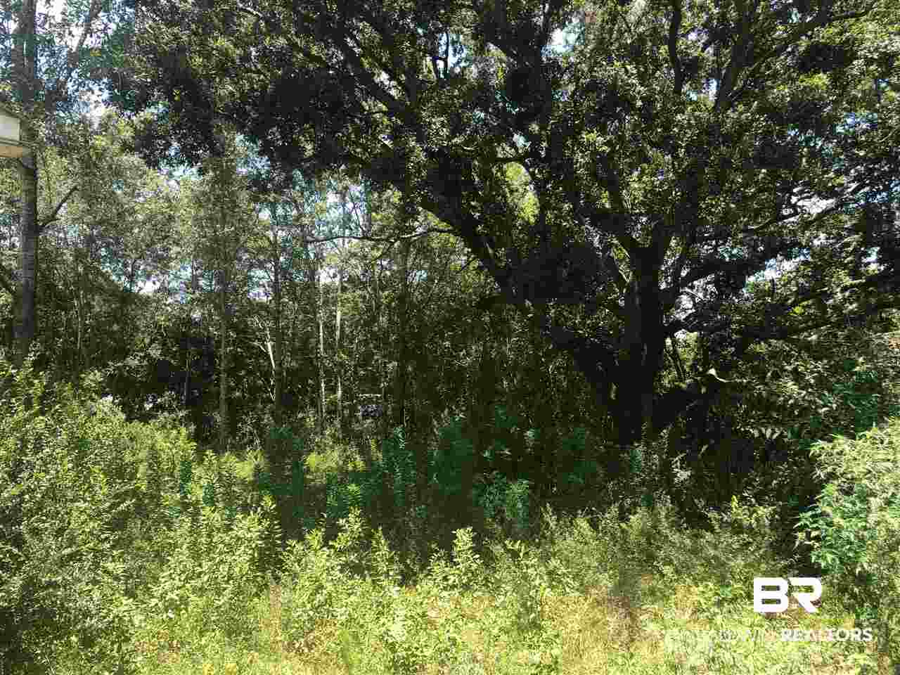 Lot 2 Woodland Avenue Foley, AL 36535 - Photo 5 of 26