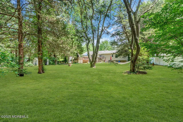 a view of green field