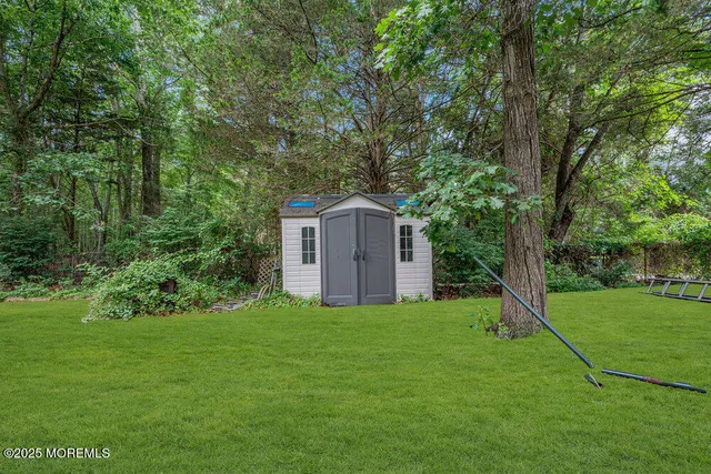 a view of a tree in a field