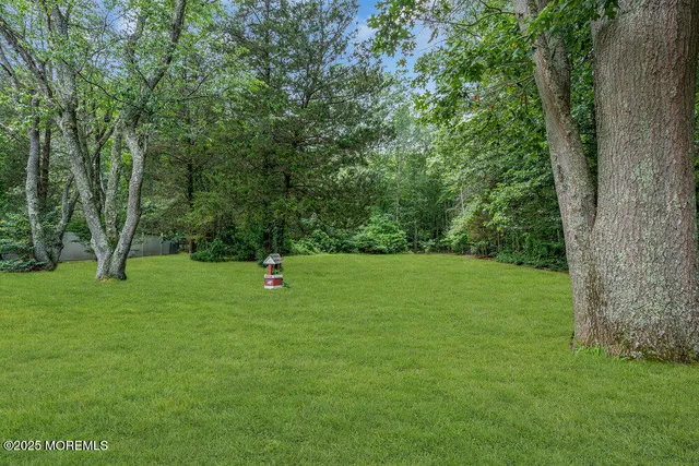 a view of green field