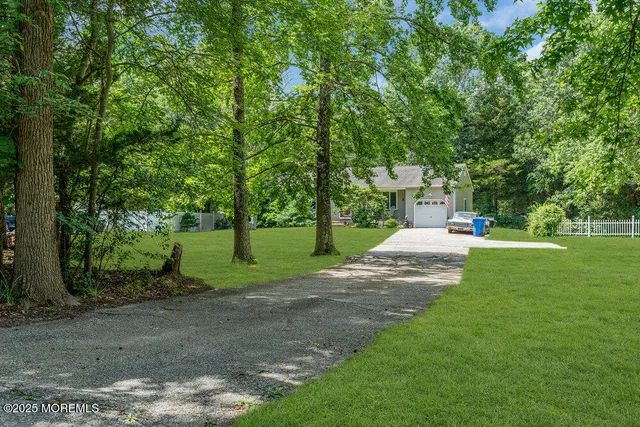 a view of a park with large trees