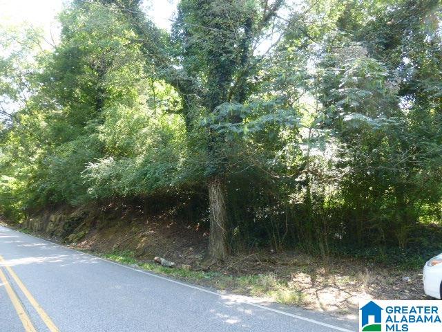 1568 Warrior Jasper Road Warrior, AL 35180 - Photo 10 of 11