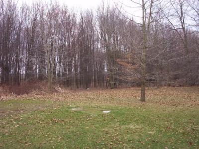 389 West Colon Road Coldwater, MI 49036 - Photo 2 of 17 Additional Photo