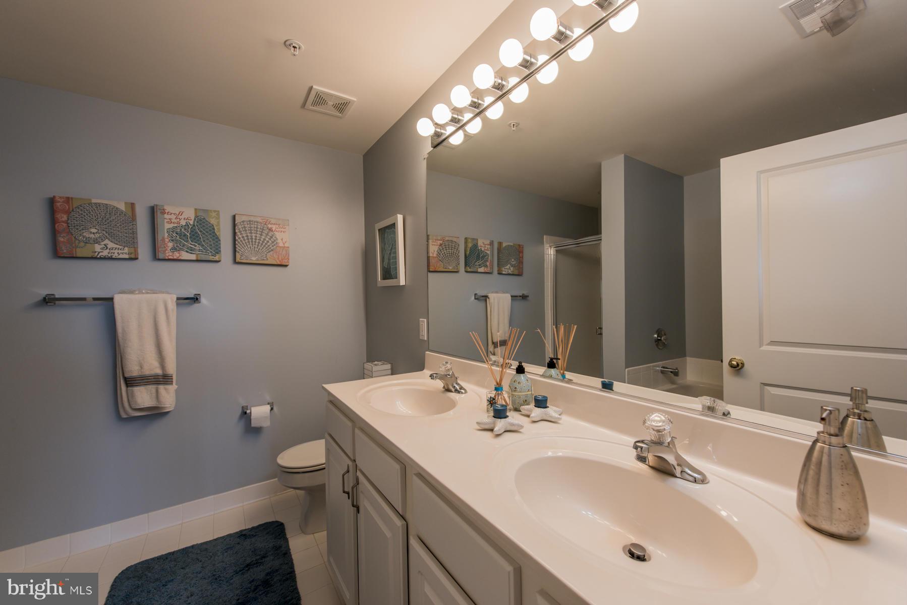 4800 Coyle Road, Unit 207 Owings Mills, MD 21117 - Photo 17 of 21 Bath (Master)