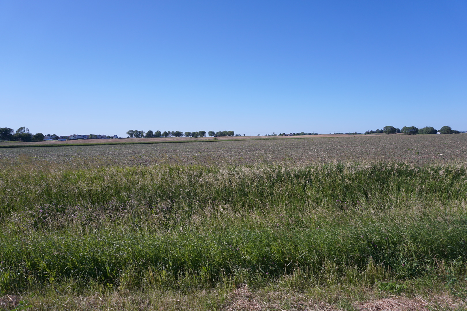 19 Northeast T33n R13e Peotone, IL 60468 - Photo 2 of 10 Gallery Image 2