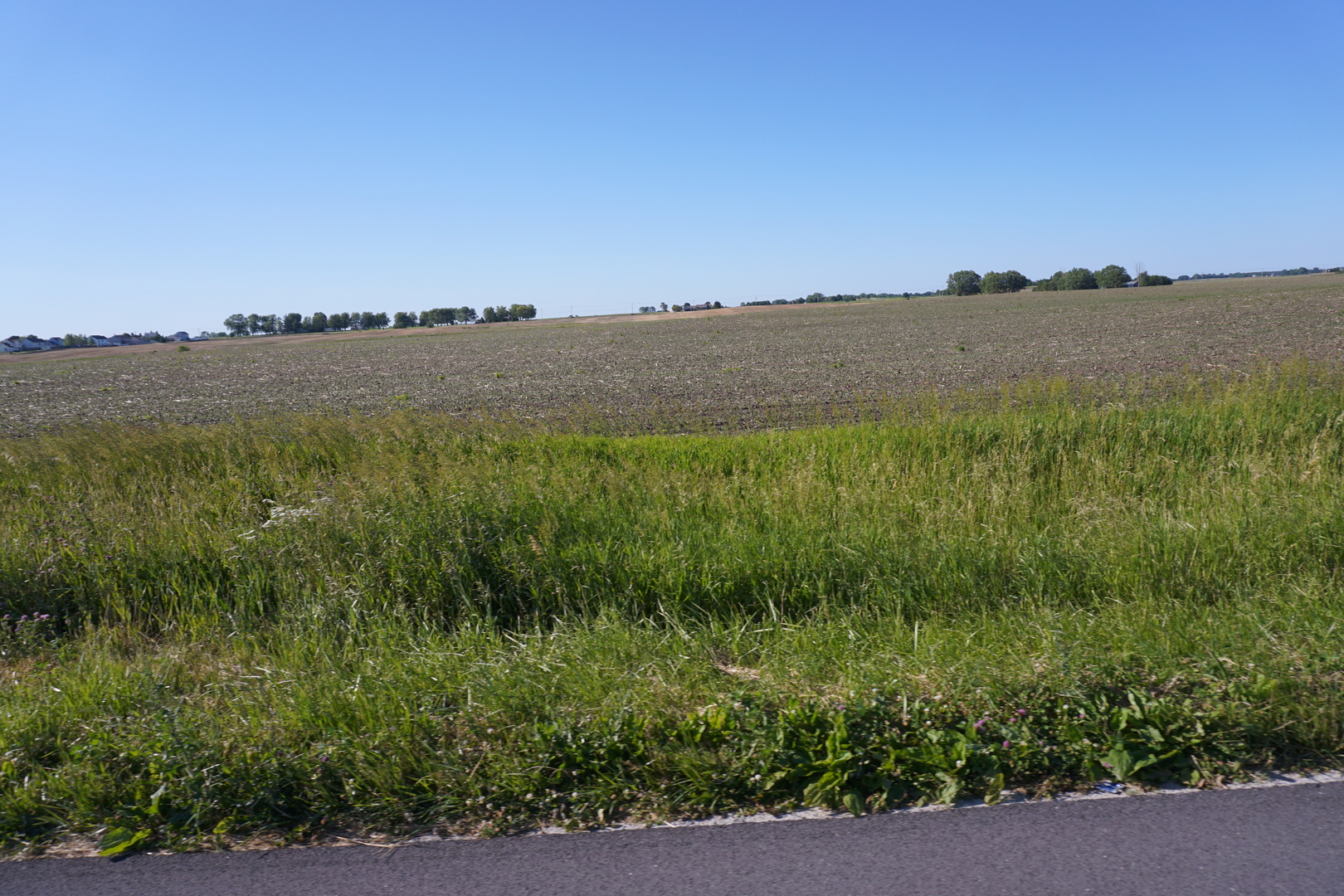 19 Northeast T33n R13e Peotone, IL 60468 - Photo 3 of 10 Gallery Image 3