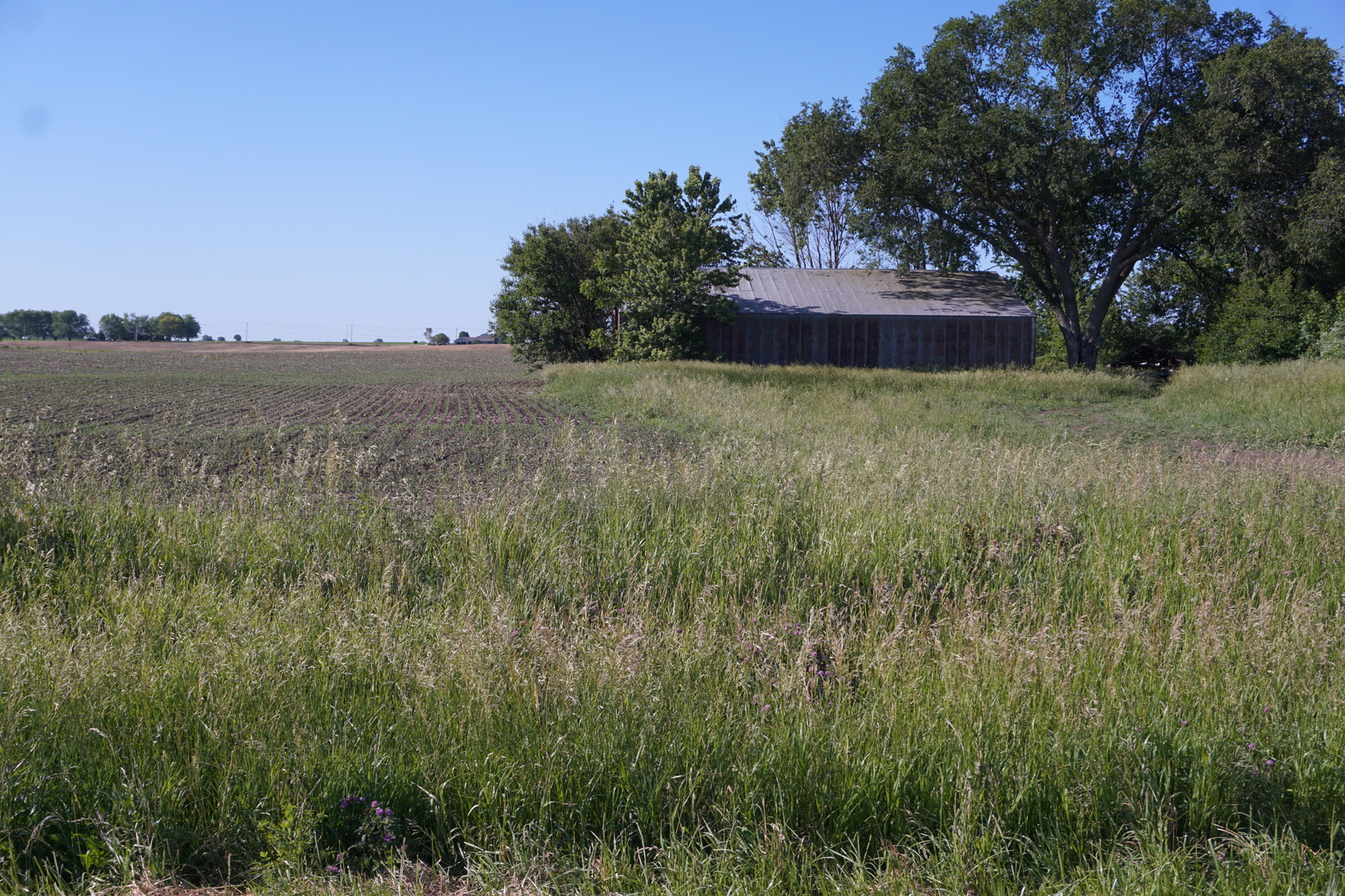 19 Northeast T33n R13e Peotone, IL 60468 - Photo 4 of 10 Gallery Image 4