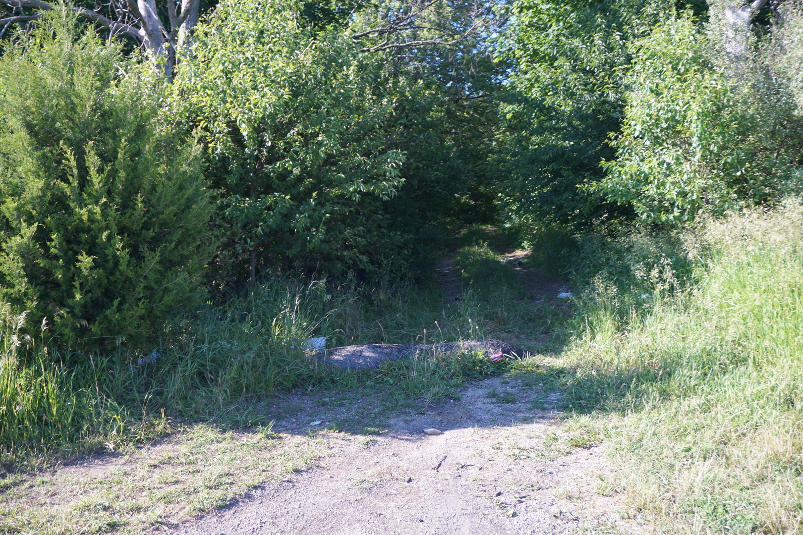 19 Northeast T33n R13e Peotone, IL 60468 - Photo 5 of 10 Gallery Image 5