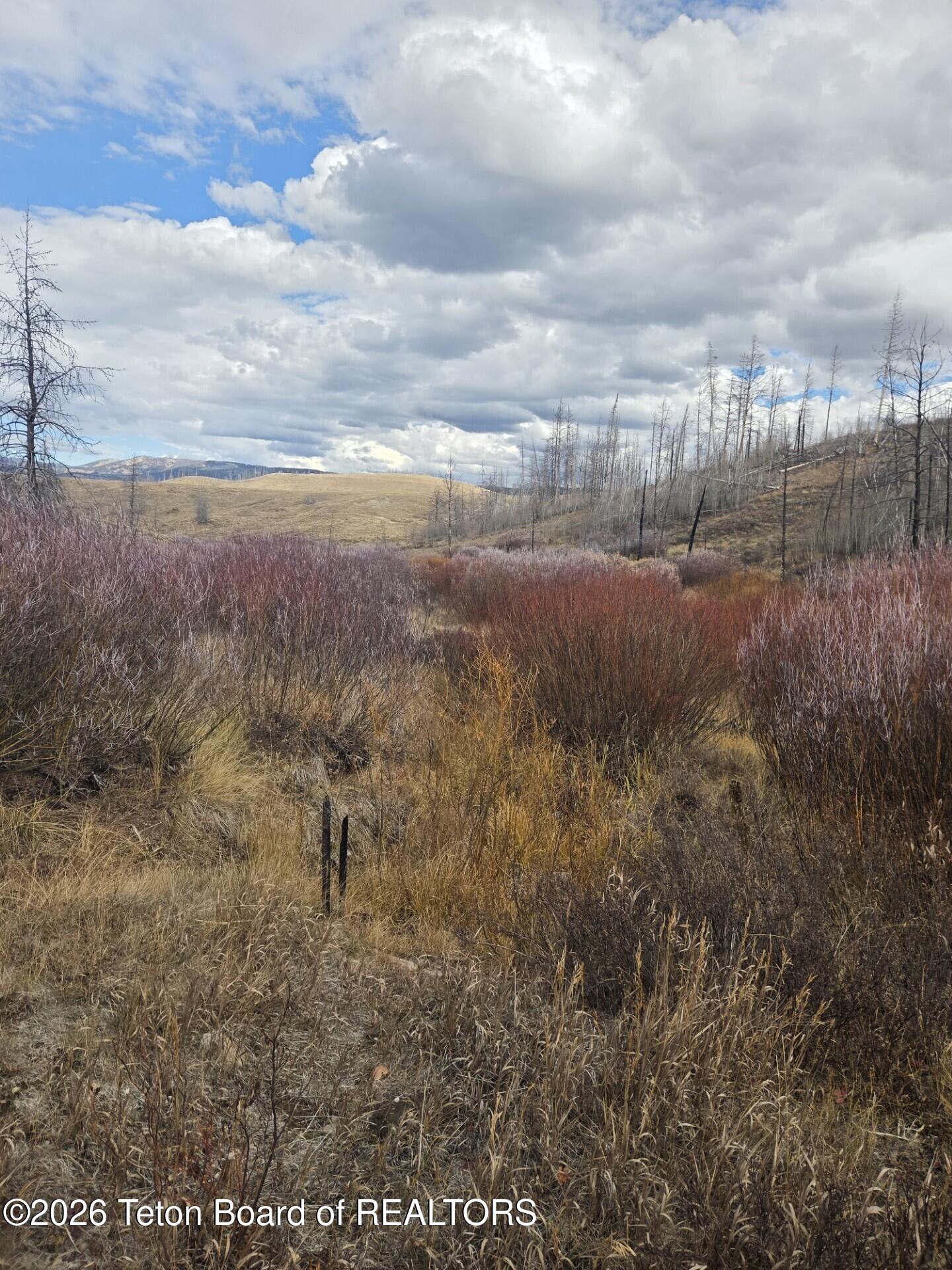 652 Rim Road Bondurant, WY 82922 - Photo 5 of 7 652 Rim Road