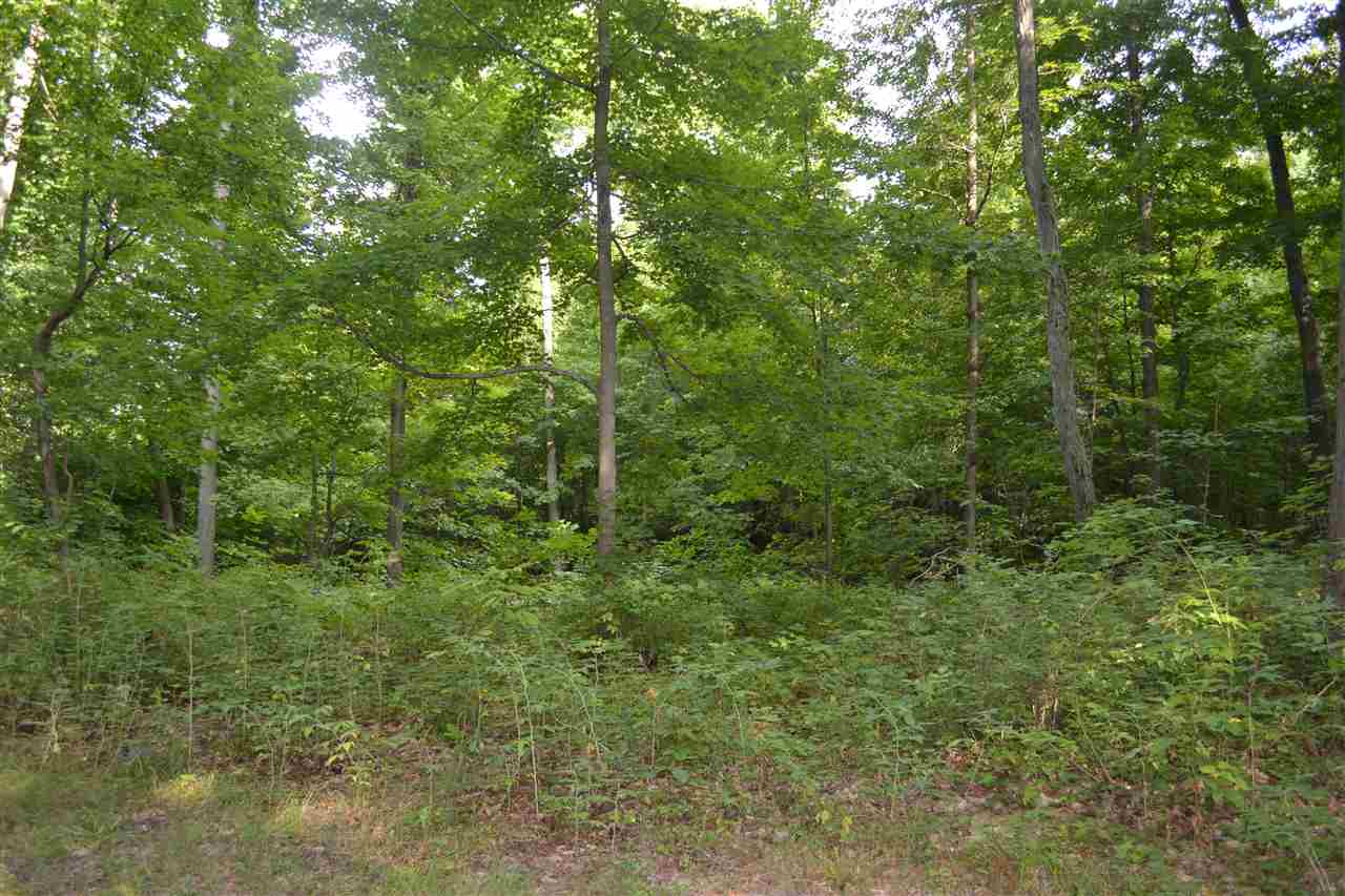 10194 West Broomfield Road Remus, MI 49340 - Photo 16 of 18 1805390-15.JPG