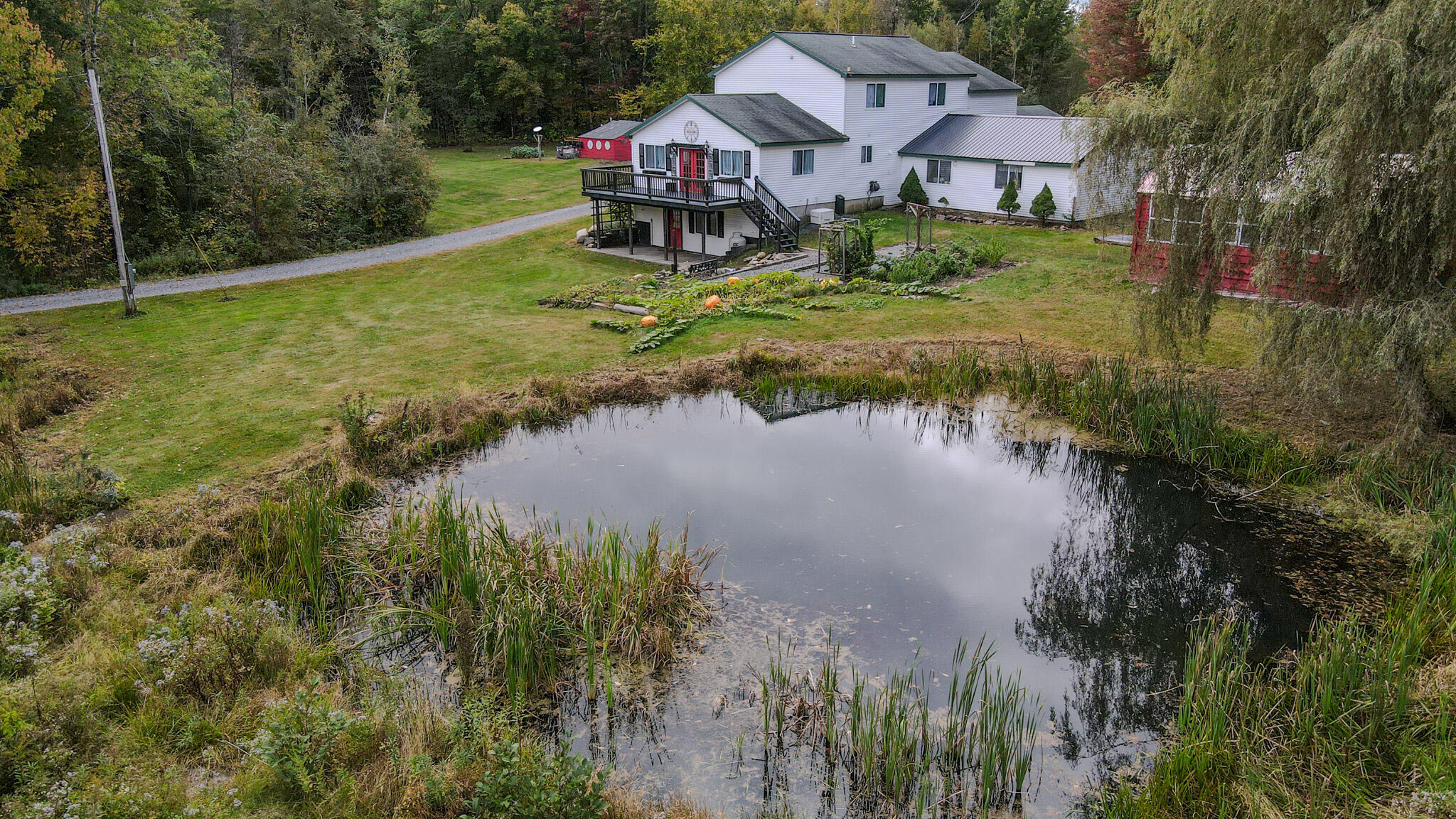 Pond