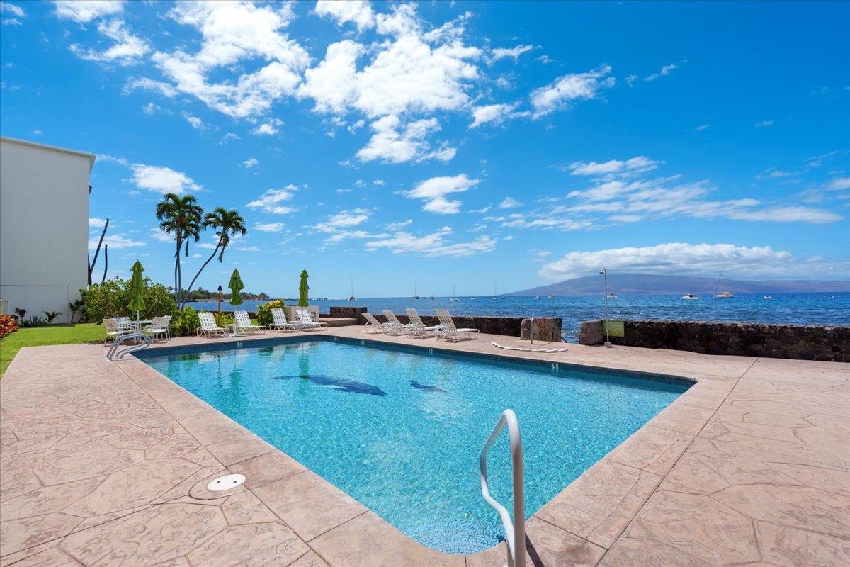 1403 Front Street, Unit 309 Lahaina, HI 96761 - Photo 24 of 33 a view of a swimming pool and outdoor seating