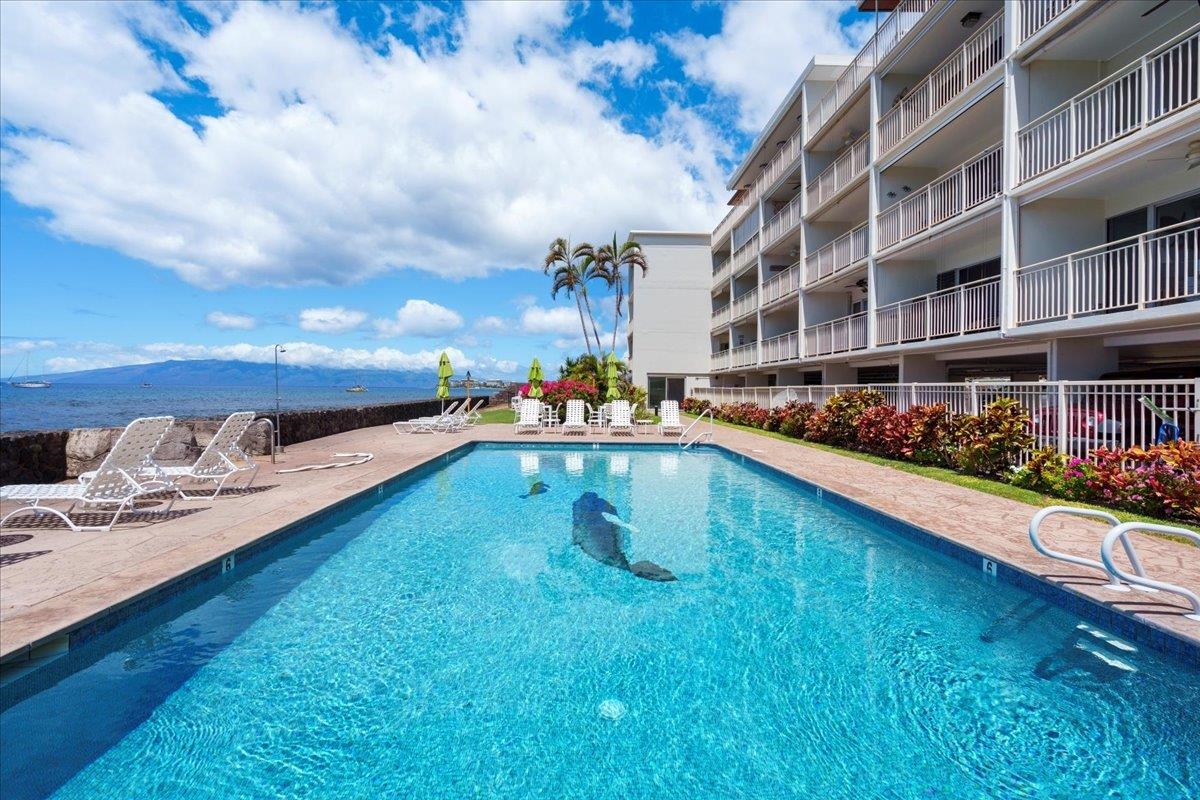 1403 Front Street, Unit 309 Lahaina, HI 96761 - Photo 25 of 33 a swimming pool with outdoor seating and yard