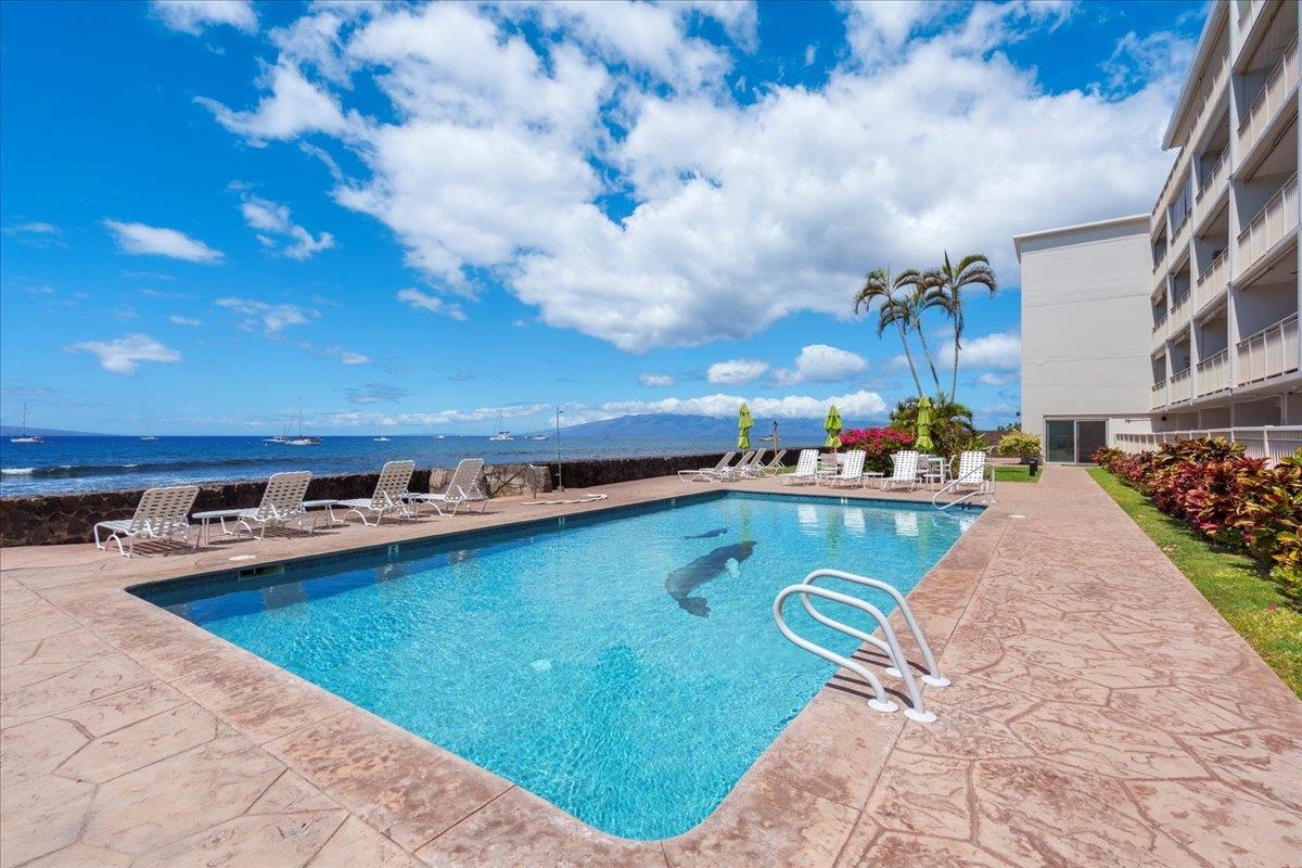 1403 Front Street, Unit 309 Lahaina, HI 96761 - Photo 27 of 33 a view of swimming pool with outdoor seating and city view