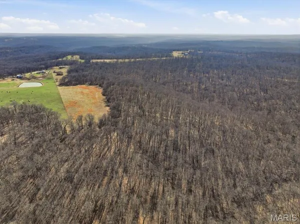 $305,000 | 86.6-acre Beechnut Road, Stover, MO 65078