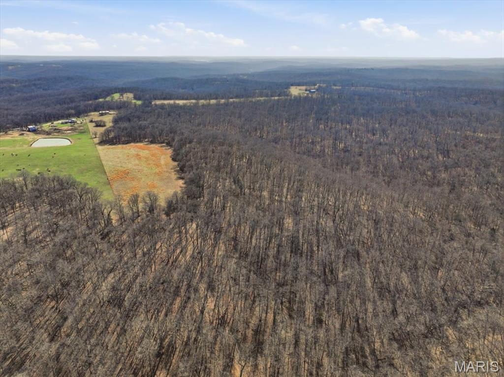86.6-acre Beechnut Road Stover, MO 65078 - Photo 12 of 22
