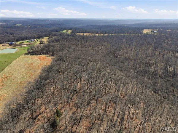$305,000 | 86.6-acre Beechnut Road, Stover, MO 65078