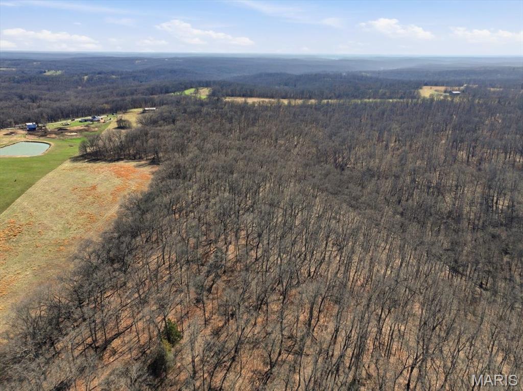 86.6-acre Beechnut Road Stover, MO 65078 - Photo 16 of 22