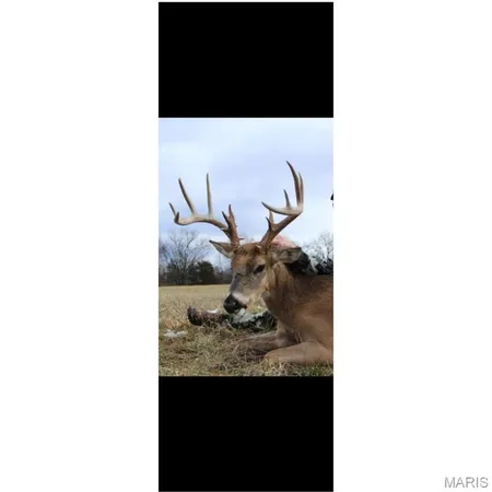$305,000 | 86.6-acre Beechnut Road, Stover, MO 65078