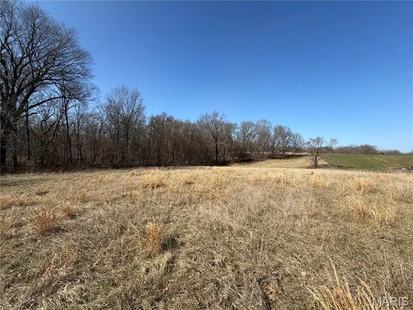 $305,000 | 86.6-acre Beechnut Road, Stover, MO 65078