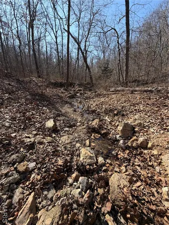 $305,000 | 86.6-acre Beechnut Road, Stover, MO 65078