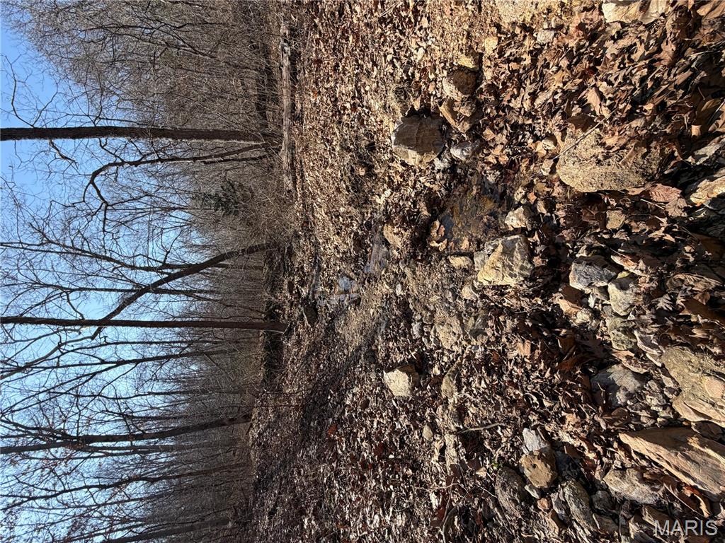 86.6-acre Beechnut Road Stover, MO 65078 - Photo 8 of 22